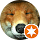 Ronyo